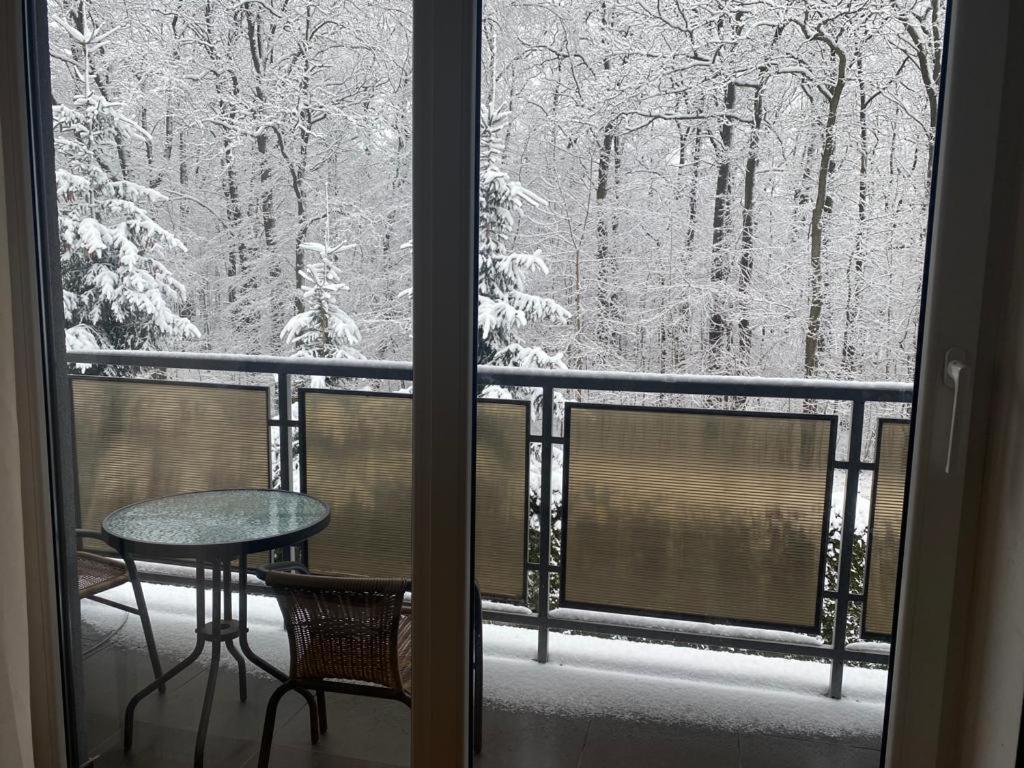 Apartament Natalia Zywiec Luaran gambar